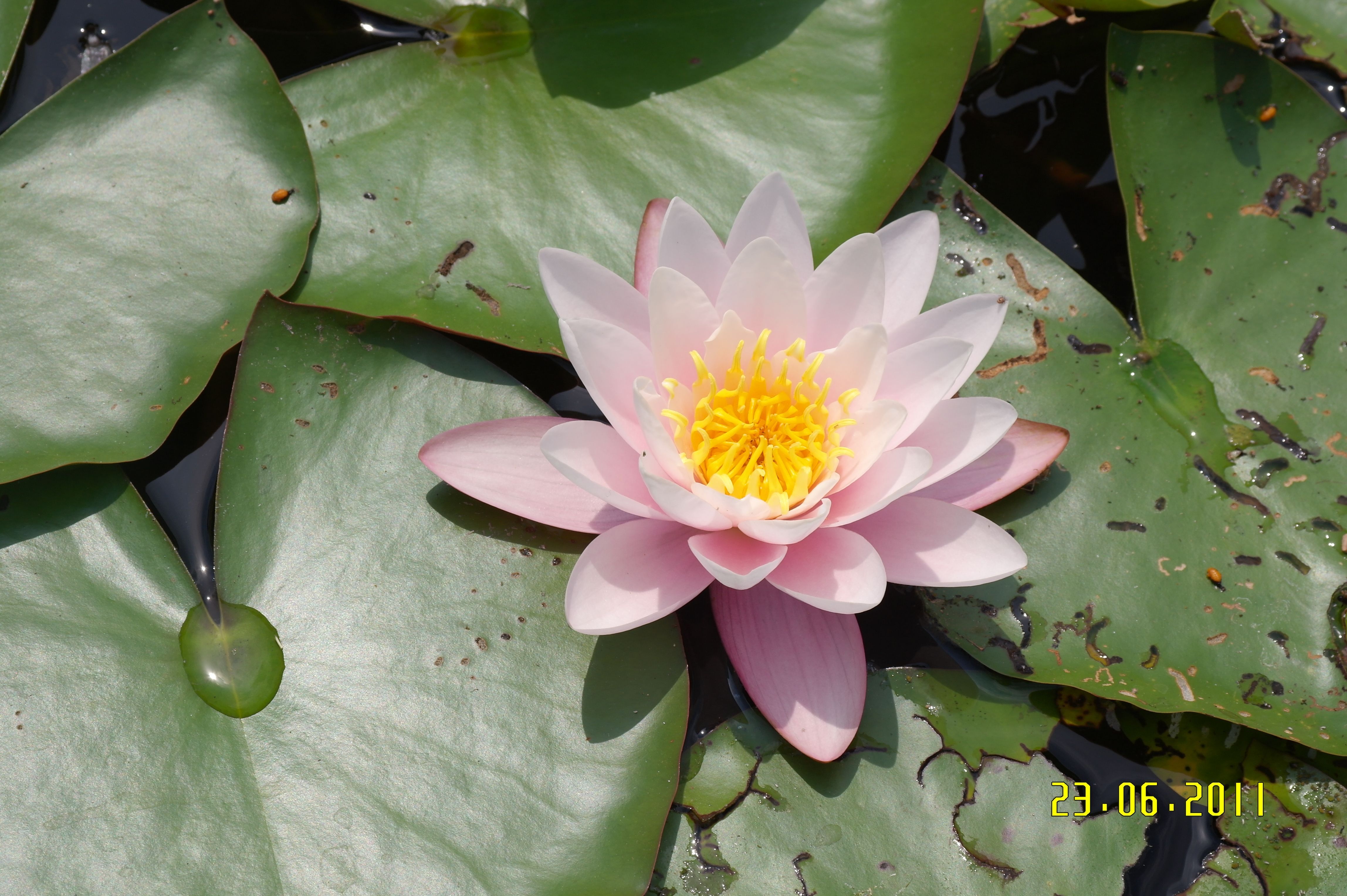 Bild vom Kurs Yin Yoga