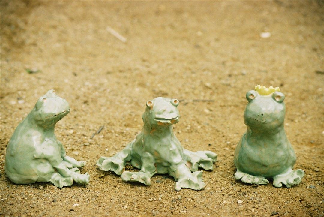 Bild vom Kurs Sommert&ouml;pfern f&uuml;r 6 - 12 j&auml;hrige