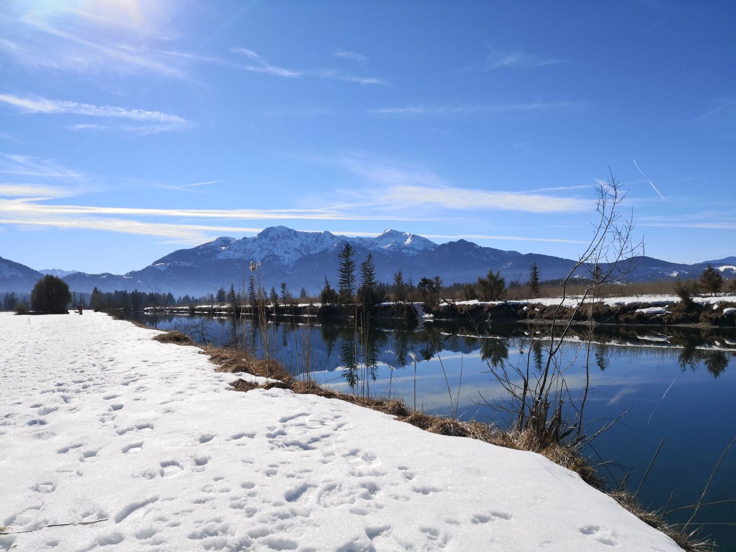 Bild vom Kurs Naturkundlicher Rundgang in Benediktbeuern